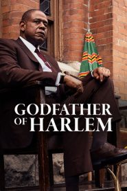 Bố Già Vùng Harlem